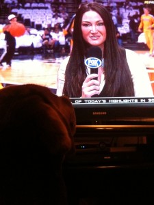 Chica the beautiful Chocolate Lab watching Pacers Live Pre-Game.